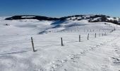 Tocht Sneeuwschoenen Saint-Chély-d'Aubrac - Tourbière alte teste rodes  - Photo 5