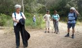 Trail Walking Neffiès - randonnée à Neffies - Photo 17