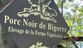 Trail Walking Saint-Lary-Soulan - J1 Trachère-Vignec-Agos - Photo 3
