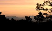 Tour Wandern Solliès-Toucas - Valaury - Apier - Matheron - Photo 15