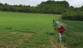 Tocht Stappen Mareil-sur-Mauldre - Mareil sur Mauldre à Neauphle le vieux  - Photo 3