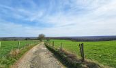 Tocht Stappen Viroinval - Balade à Le Mesnil - Viroinval - Photo 3