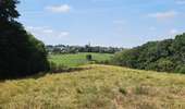 Trail Walking Dalhem - mortroux DA7  - Photo 20