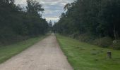 Trail  Cléry-Saint-André - Sob 7 clery ferte St Cyr - Photo 1