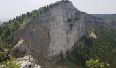 Tocht Stappen Autrans-Méaudre en Vercors - La grande Breche - Photo 6