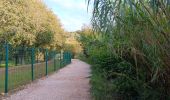 Trail Walking Argelès-sur-Mer - raccou - plage de l'ouillet par terre, retour par sentier littoral - Photo 19