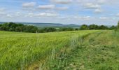 Randonnée Marche Geville - Gironville sous les côtes - Photo 9