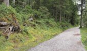 Tour Zu Fuß Grainau - Eibsee Rundwanderweg - Photo 7