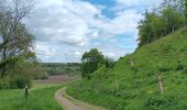 Tour Wandern Riemst - autour de Kanne et St Pietersberg  - Photo 14