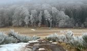 Excursión Senderismo Besse-et-Saint-Anastaise - Anglade Bourdouze  - Photo 4