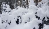 Excursión Raquetas de nieve Châtelblanc - raquette jura j2 - Photo 1