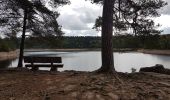 Excursión Senderismo Badonviller - Tour du lac de Pierre-Percée depuis les cabanes du lac - Photo 6