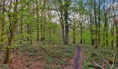 Randonnée Marche Thuin - Balade à l'abbaye d'Aulne - Photo 10