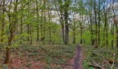 Trail Walking Thuin - Balade à l'abbaye d'Aulne - Photo 10