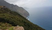 Trail Walking Machico - Madère : du tunnel de Caniçal à Porto da Cruz - aller en bus - Photo 8