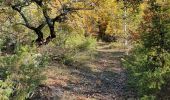 Trail Walking Lioux - Autour du chateau de Javon - Photo 6