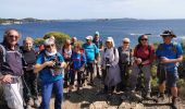 Trail Walking Hyères - la madrage  - Photo 2