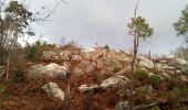 Randonnée Marche Fontainebleau - Un merle sur son mont - Photo 2