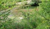 Tour Wandern Les Arcs-sur-Argens - z le pont de l'Aille 19-04-22 - Photo 4