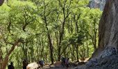 Trail Walking Bagnols-en-Forêt - Gorges du Blavet - Photo 8