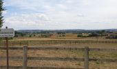 Tour Elektrofahrrad Ronse - Russeignies - Photo 2