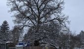 Randonnée A pied Louňovice - NS - Voděradské bučiny - Photo 6