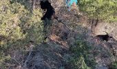 Tour Wandern La Londe-les-Maures - Plage de l'Argentière à Cabasson en A/R-14-01-22 - Photo 17