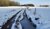 Randonnée Marche Tinlot - Ramelot sous la neige - Photo 9