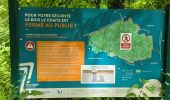 Trail Walking Meaux - Le chemin de St Colomban en Ile de France Etape 3 Jouarre Meaux - Photo 19