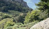 Randonnée Marche Arrigas - Col de l’Homme mort  le Saint Guiral - Photo 7
