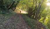 Trail Road bike Beaulieu - Beaulieu - Cognin par la pisciculture  - Photo 6