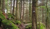 Tour Wandern Sankt Didel - Balade autour du Col de la Crenée - Photo 10