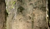 Excursión Senderismo Omblèze - Canyon des gueulards - Photo 5
