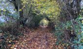 Tour Wandern Ferrières - Vieuxville - Photo 3