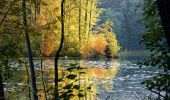 Tour Zu Fuß Grunow-Dammendorf - Rund um Siehdichum. - Photo 9