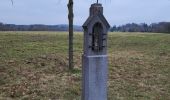 Percorso Marcia Somme-Leuze - Nettine 020224 - Photo 4