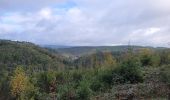 Randonnée Marche Houffalize - rando engreux 15-10-2023 - Photo 14
