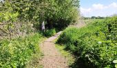 Trail Walking Tongeren - Promenade dans la réserve naturelle de Kevie - Photo 7