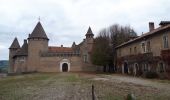 Tocht Stappen Val-de-Virieu - Les 2 Châteaux - Photo 5