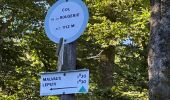 Trail Walking Plancher-les-Mines - 130722 - La planche des belles - au pieds du Ballons d’Alsaces - Photo 7