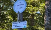 Tocht Stappen Plancher-les-Mines - 130722 - La planche des belles - au pieds du Ballons d’Alsaces - Photo 7