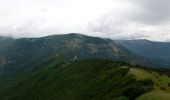 Tocht Stappen Saint-Julien-en-Quint - Bec Pointu - Les Glovins - St-Julien-en-Quint - Photo 19