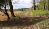 Tocht Stappen Livron - tour au bois avec 3 chats 10042021 - Photo 5