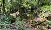 Trail Walking Echternach - Echternach-Beaufort - Photo 2