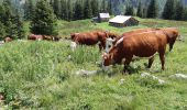 Trail Walking Hauteluce - COL DE LA FENETRE DEPUIS LE COL DE jOLY - Photo 13