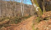 Trail Walking Houffalize - Engreux - Confluent des deux Ourthes var. - Photo 17