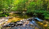 Tour Wandern Bièvre - Promenade de la Roche Mouselle - Petit-Fays - Photo 15