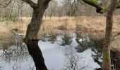 Excursión Senderismo Fontainebleau - 21/02/2020 - Photo 6