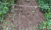 Trail Walking Aulon - J10-Aulon fait - Photo 13