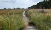 Trail Walking Spa - grand tour de la fagne de Malchamps - Photo 12